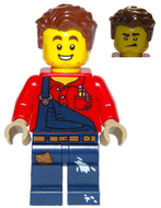 LEGO cty1095 Allemaal Steentjes